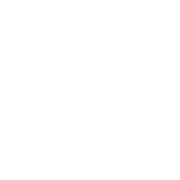 Savant Electrical &mdash; Savant Solutions Inc. logo