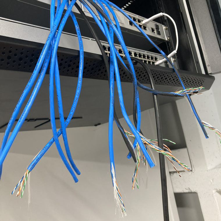 Blue category cables prepared for termination at a rack-mounted network switch